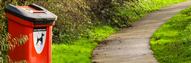 Tipos de heces en los perros y su significado 